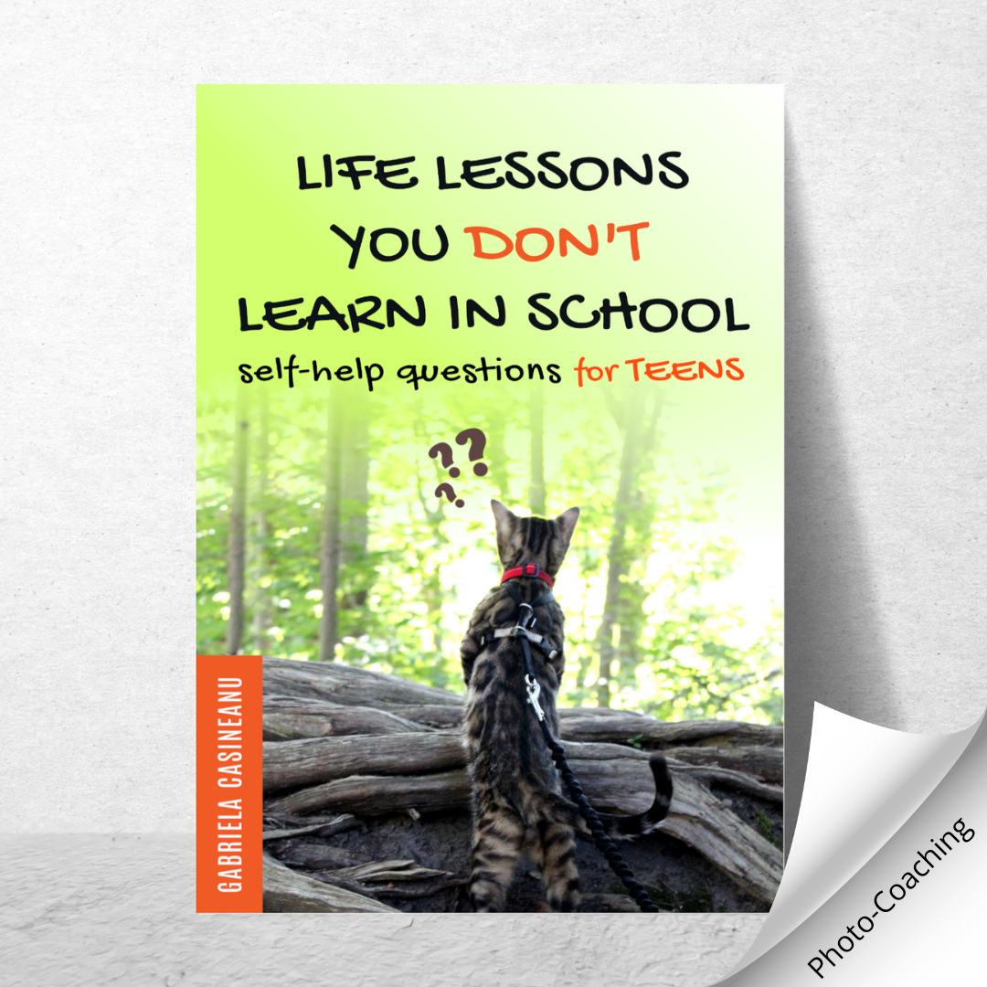 Life Lessons You Don't Learn in School: Self-Help Questions for Teens