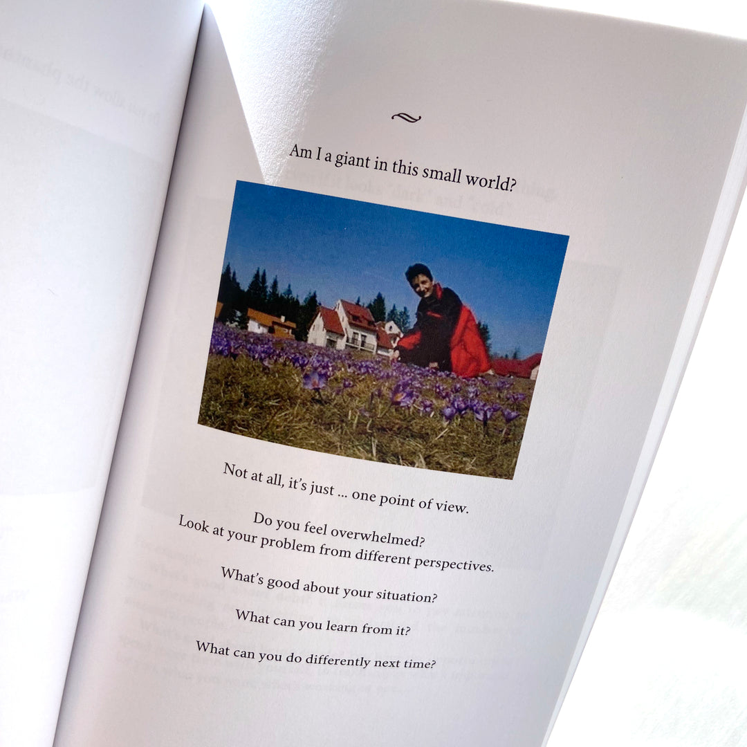 Meeting With My Self: Self-Coaching Questions That Invite Wisdom In