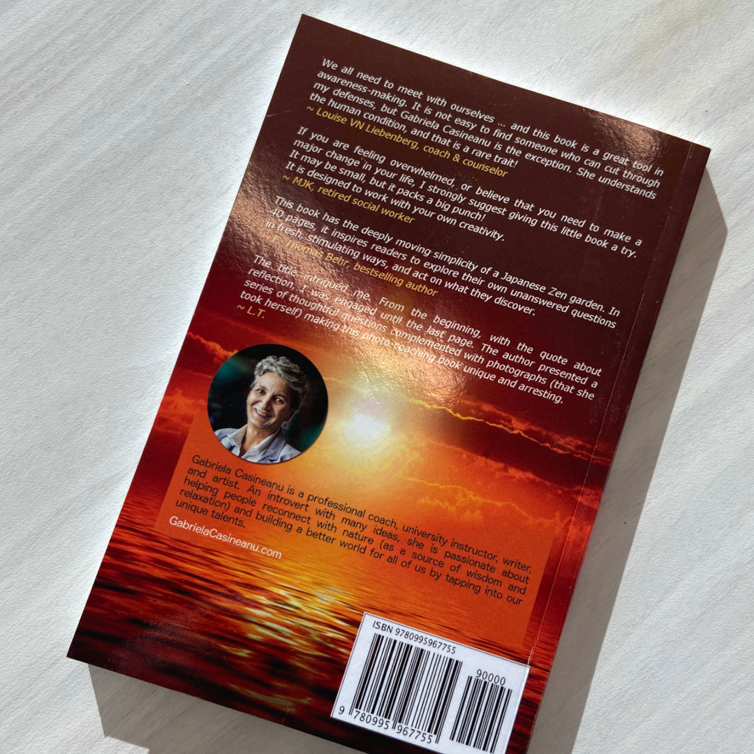 Meeting With My Self: Self-Coaching Questions That Invite Wisdom In