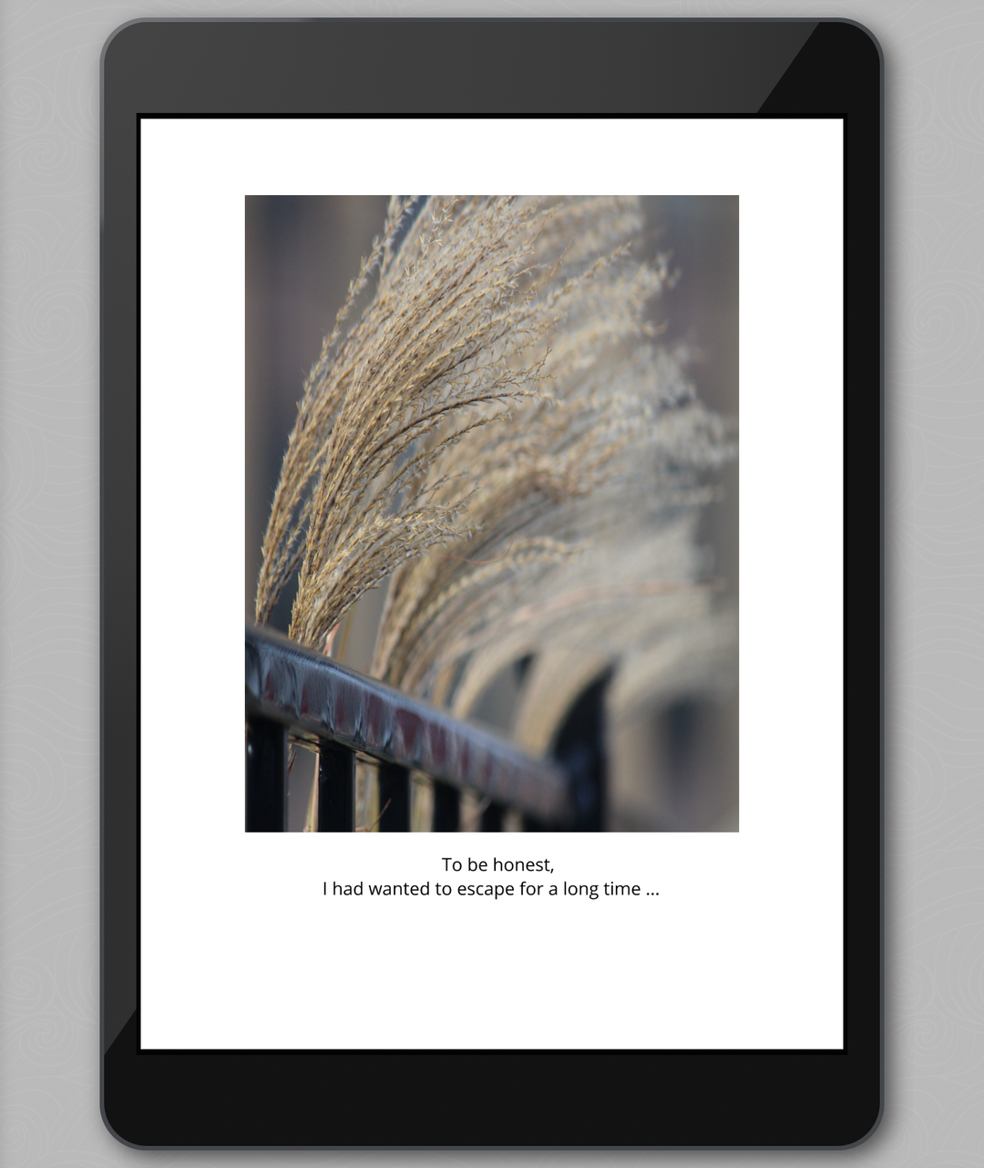 Metaphors: An Emotional Journey