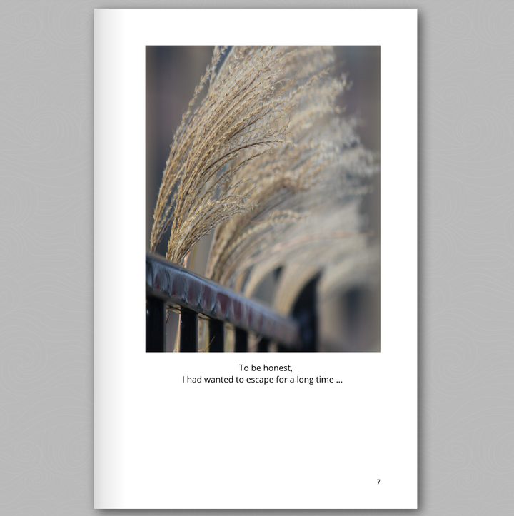 Metaphors: An Emotional Journey