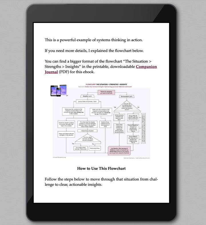 Digital tablet displaying an eBook with the Situation Flowchart and text on a gray background