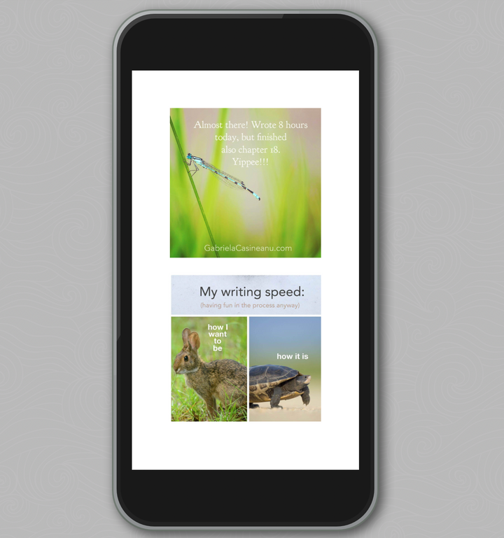 iphone with instagram posts examples from How I Launched My First Book to Top the Charts in 7 Countries
